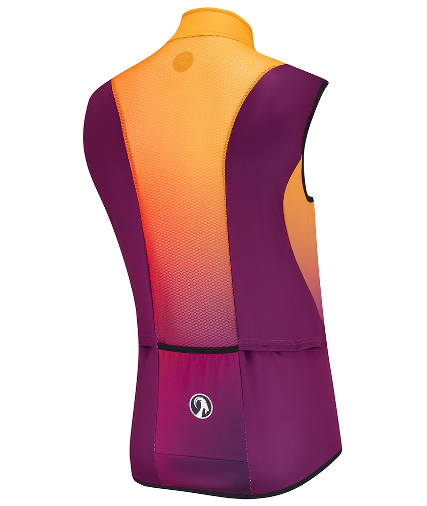 Men's Scratch Ibex Gilet