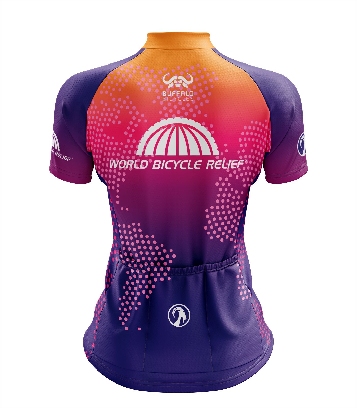 Women's World Bicycle Relief 20th Anniversary Ibex Everyday SS Jersey